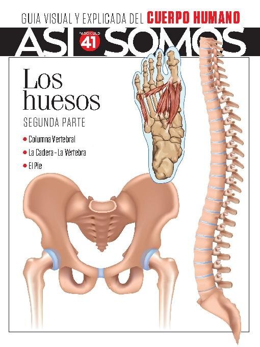 Title details for Así Somos - El cuerpo humano by Media Contenidos - Available